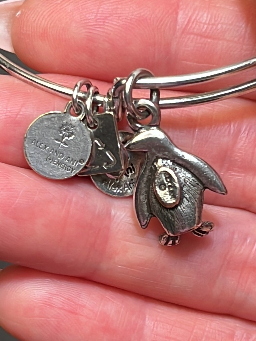 Alex and Ani Silver Penguin Charm Bangle with Heart and Tag Accents - Picture 5 of 5